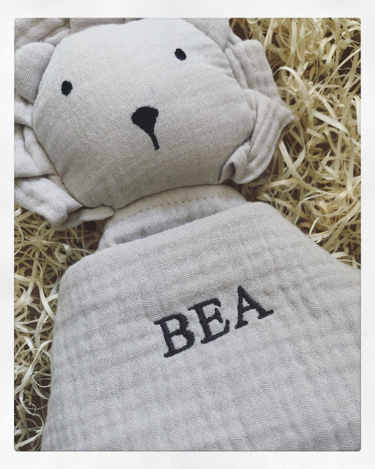 Personalised Comforter Blanket Lion